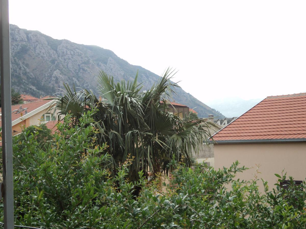 Apartments Skaljari Kotor Exteriör bild
