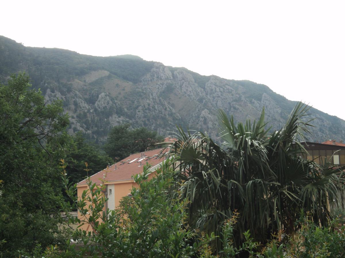 Apartments Skaljari Kotor Exteriör bild
