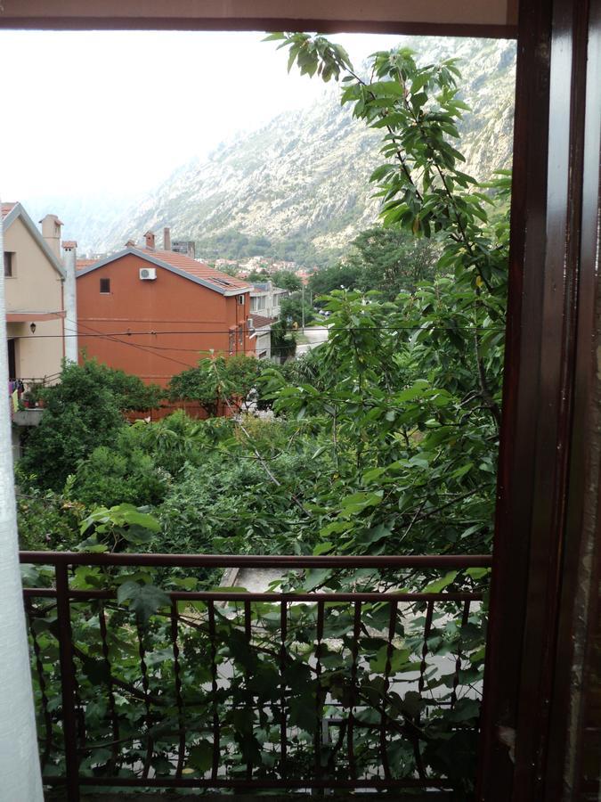 Apartments Skaljari Kotor Exteriör bild