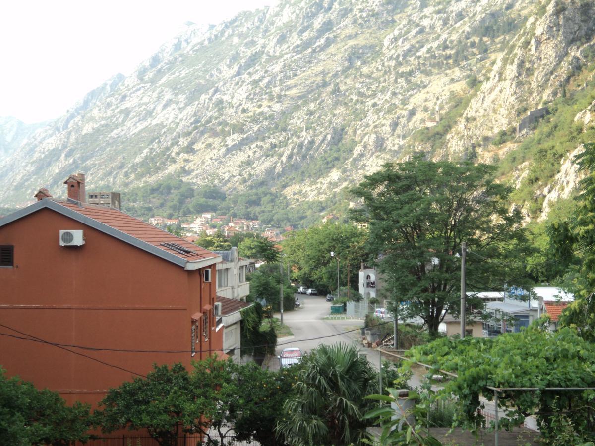 Apartments Skaljari Kotor Exteriör bild
